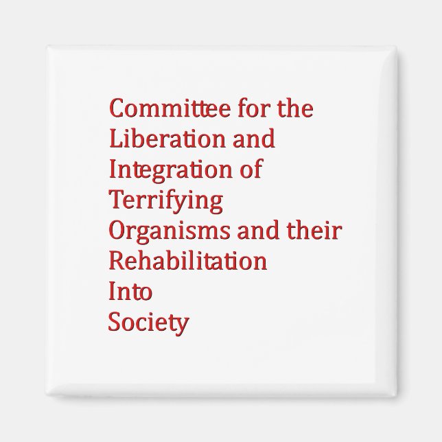 Aimant Red Dwarf (Devant)