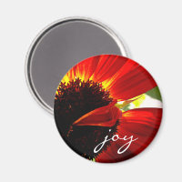 Red Gerbera Daisy Photo Joie Script Bold Modern