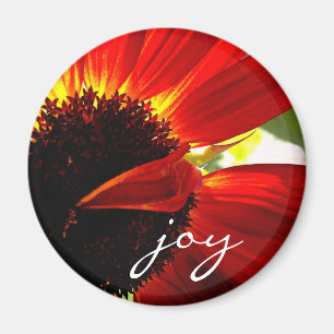 Aimant Red Gerbera Daisy Photo Joie Script Bold Modern