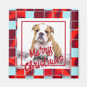 Aimant Red Plaid Bulldog Chien photo Joyeux Noël
