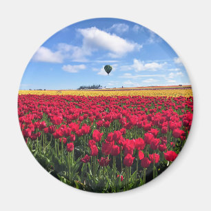 Aimant Red & Yellow Tulip Field with Hot Air Balloon