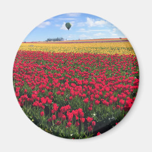 Aimant Red & Yellow Tulip Field with Hot Air Balloon