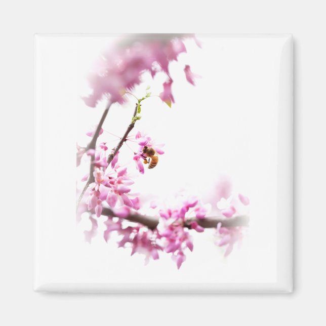 Aimant Redbud et abeille de miel-8742 (Devant)