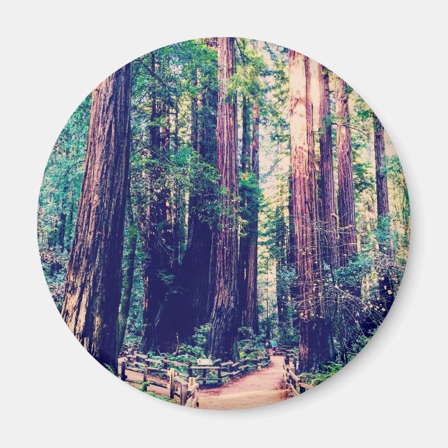 Aimant Redwoods Californie (Devant)