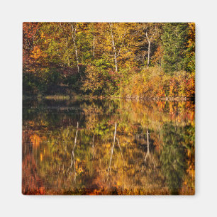 Aimant Reflet d'automne sur l'étang Coffin