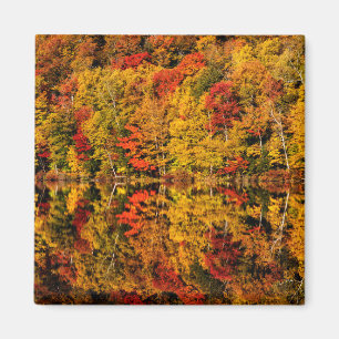 Aimant Réflexion d'automne sur le lac Russell New Hamps