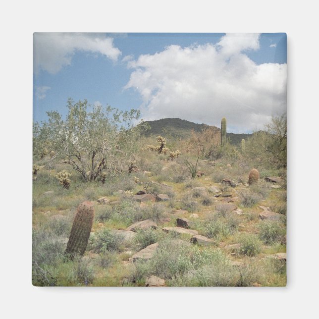 Aimant Réfrigérateur décoratif pastoral de Cactus (Devant)