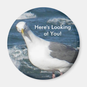 Aimant :  Regard de la mouette