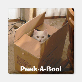 Aimant Regarde-A-Boo ! 2