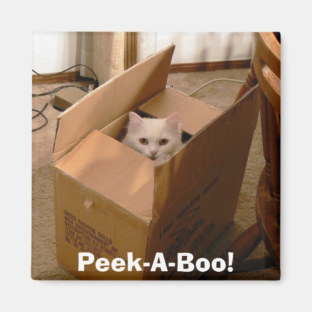 Aimant Regarde-A-Boo ! 2 (Devant)