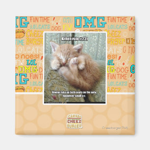 Aimant Règle #231 de Kitteh