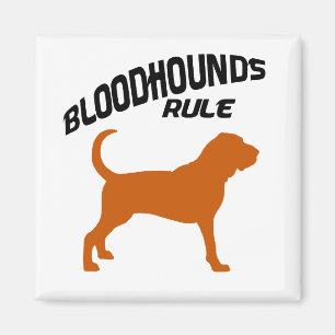 Aimant Règle Bloodhounds