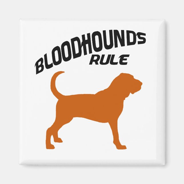 Aimant Règle Bloodhounds (Devant)