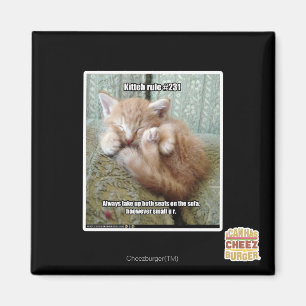 Aimant Règle de Kitteh #231