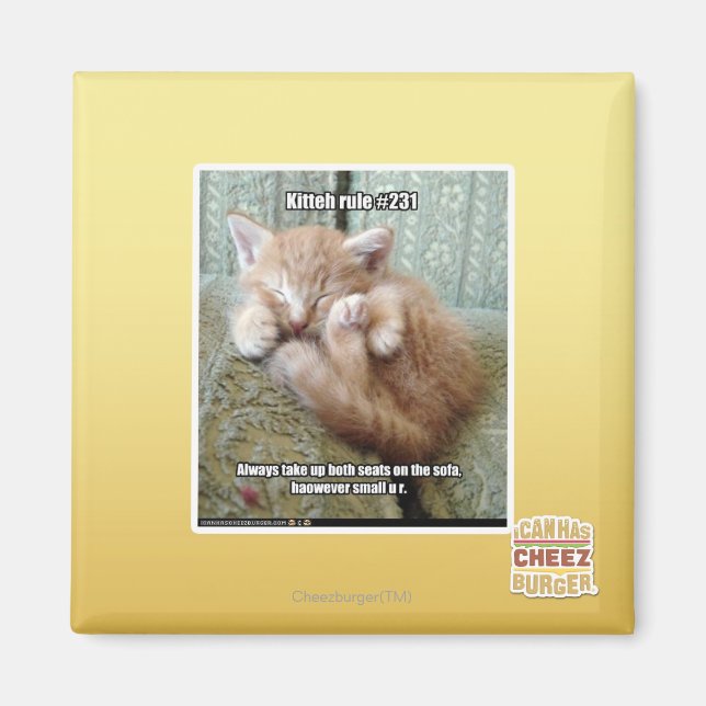 Aimant Règle de Kitteh #231 (Devant)