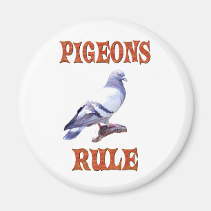 Aimant Règle de pigeons