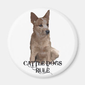 Aimant Règle des chiens de bétail