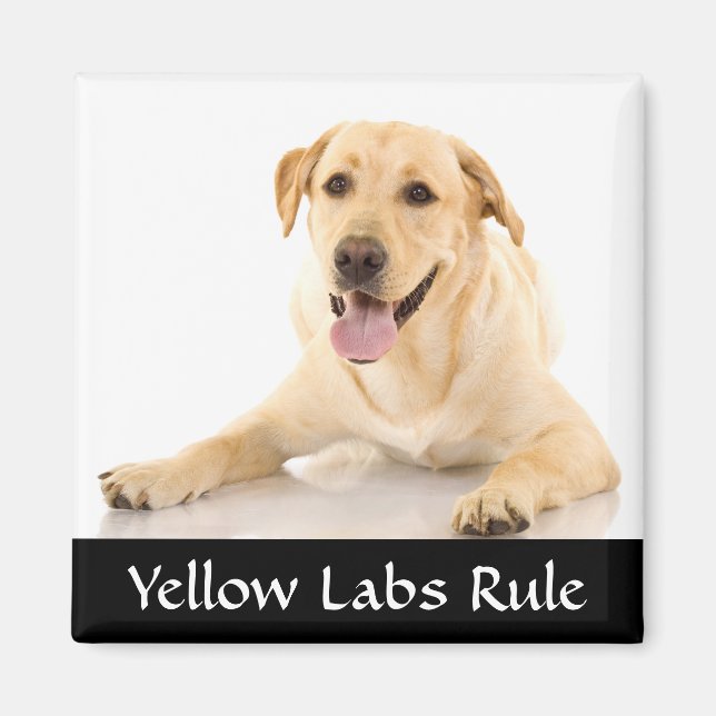 Aimant Règle des laboratoires jaunes "Labrador Retreiver" (Devant)