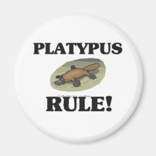 Aimant Règle PLATYPUS !