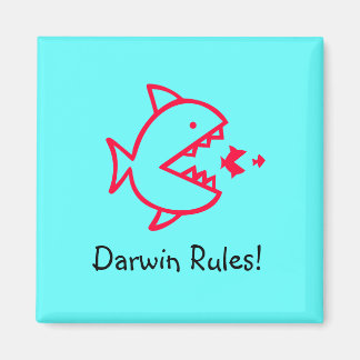 Aimant Règles Ocean Glow_Darwin !