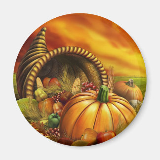 AIMANT REMERCIEMENT 2009