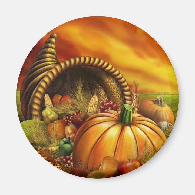 AIMANT REMERCIEMENT 2009 (Devant)