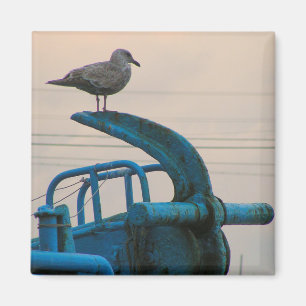 Aimant Repos de mouette sur l'Ancre du bateau Choshi