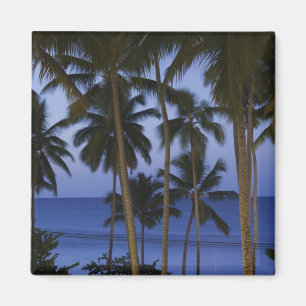 Aimant République dominicaine, péninsule de Samana, Las