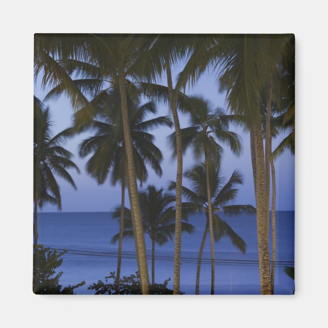 Aimant République dominicaine, péninsule de Samana, Las (Devant)