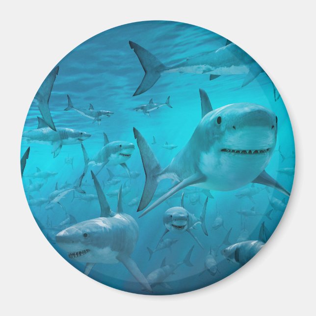 Aimant requin (Devant)