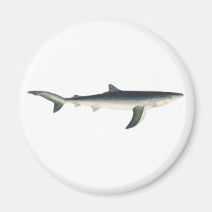 Aimant Requin Bleu, Vie Maritime Aquatique Océanique Vint