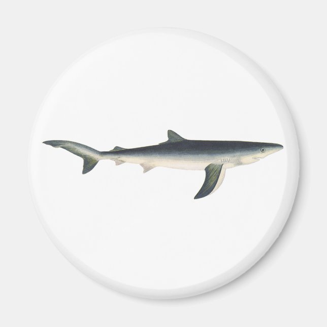 Aimant Requin bleu vintage, Vie marine aquatique (Devant)