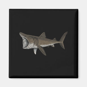 Aimant Requin pèlerin