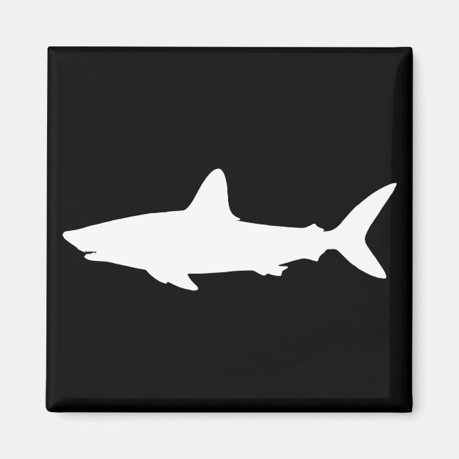 Aimant Requin qui Nage (Devant)