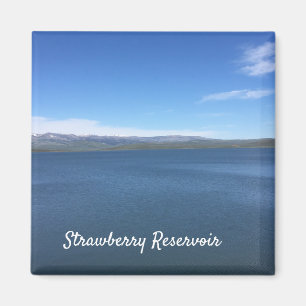 Aimant Réservoir de fraises