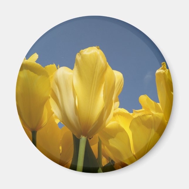 Aimant ressort jaune (Devant)
