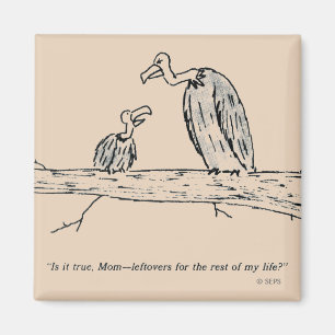 Aimant Restes