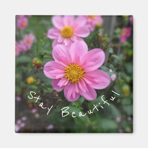 Aimant Restez Belle Dahlia Rose