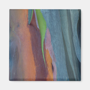 Aimant Résumé de l'arbre à gomme arc-en-ciel