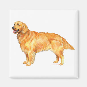 Aimant Retriever doré