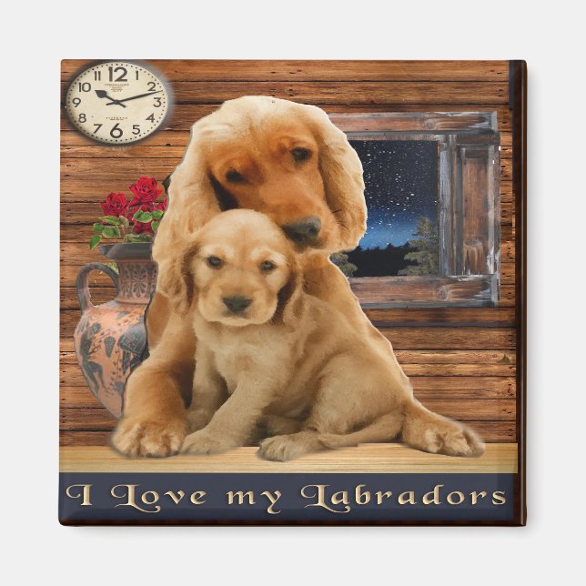 Aimant Retriever du Labrador (Devant)