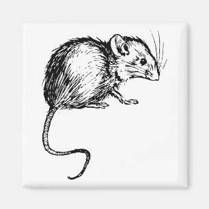 Aimant Rétro souris pelucheuse noire et blanche vintage