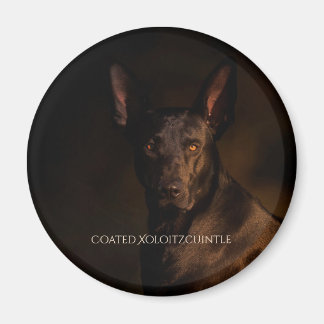 Aimant revêtu Xoloitzcuintle