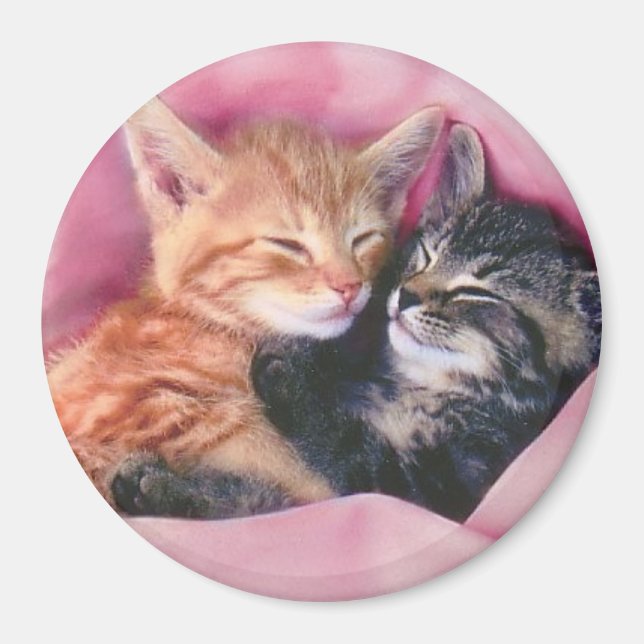 aimant rêveur chatons (Devant)