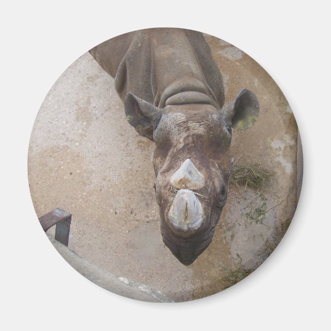 Aimant Rhino au zoo de San Antonio (Devant)