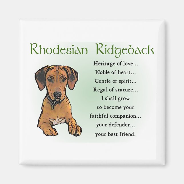Aimant Rhodesian Ridgeback Cadeaux (Devant)