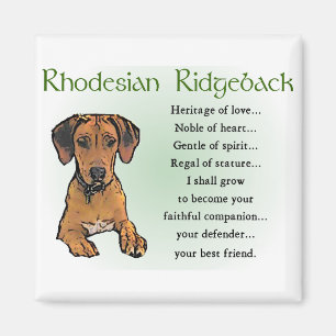 Aimant Rhodesian Ridgeback Cadeaux