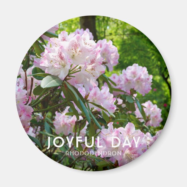 Aimant Rhododendron "Joyful Day" (Devant)