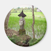 Rice Paddy, Temple, Ubud Bali, Indonésie