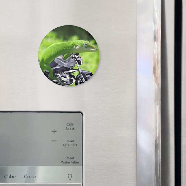 Aimant Rider Hawaiian Gecko (In situ (réfrigérateur))